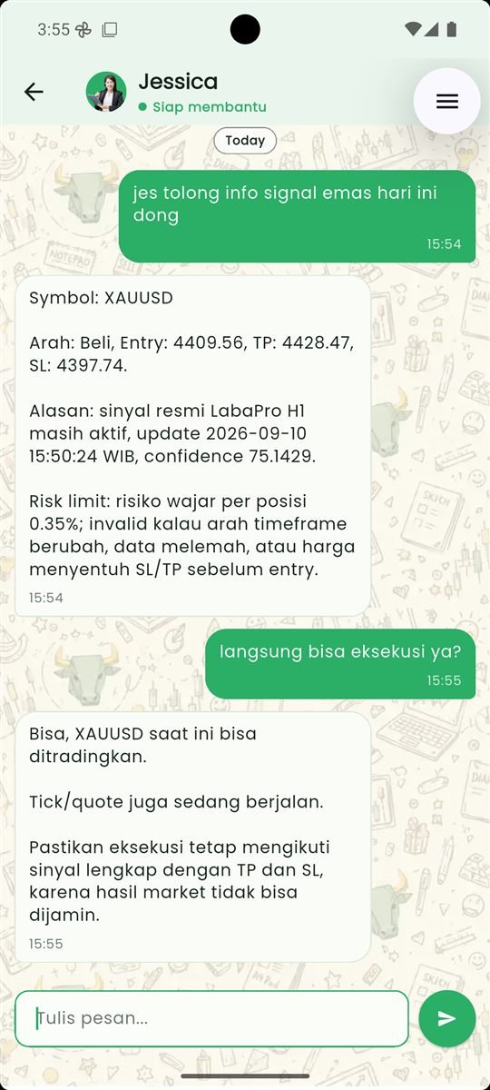Percakapan Jessica yang menjelaskan signal XAUUSD, Entry, TP, SL, dan risk limit